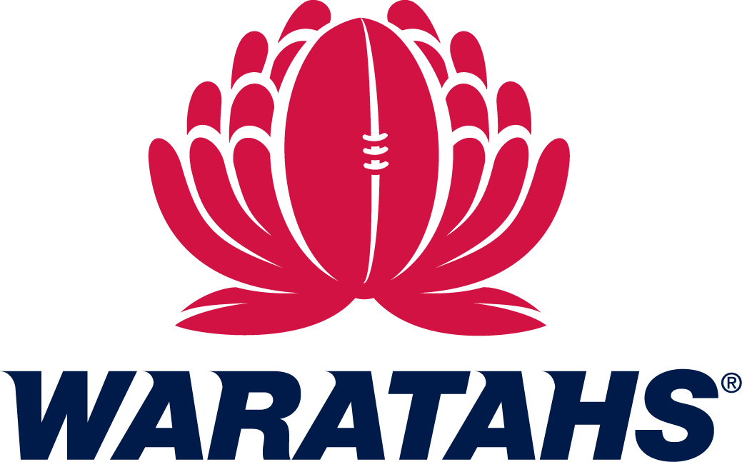 New South Wales Waratahs 0-Pres Primary Logo iron on transfers for clothing